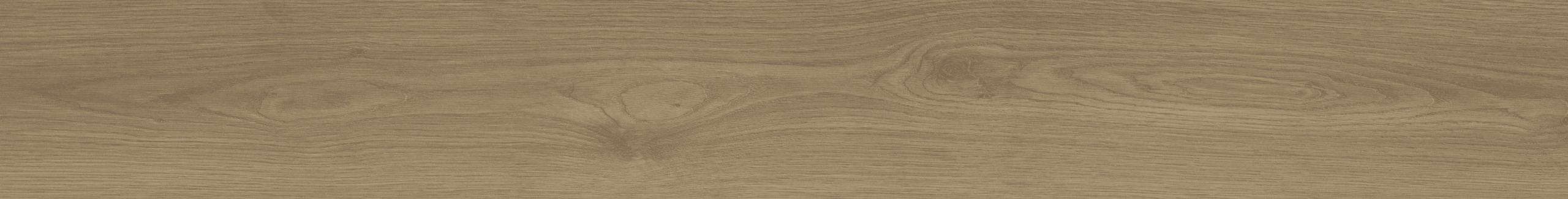 Ancient Oak #5816 | Majesty Grande - Image 4