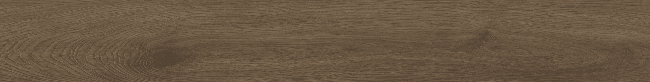 Celtic Dawn #5817 | Majesty Grande - Image 4