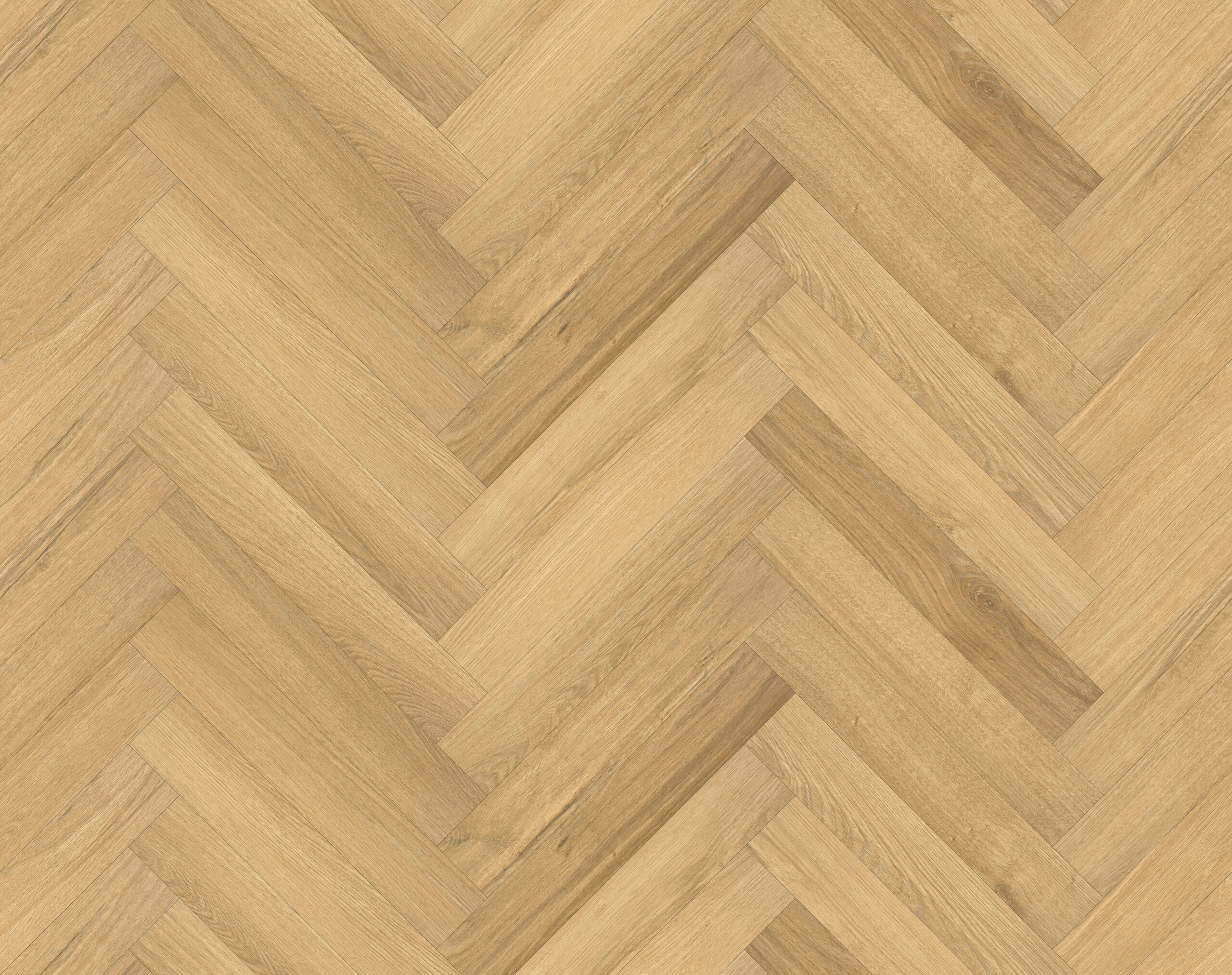 Golden Walnut #7701 | Livanti - Image 4