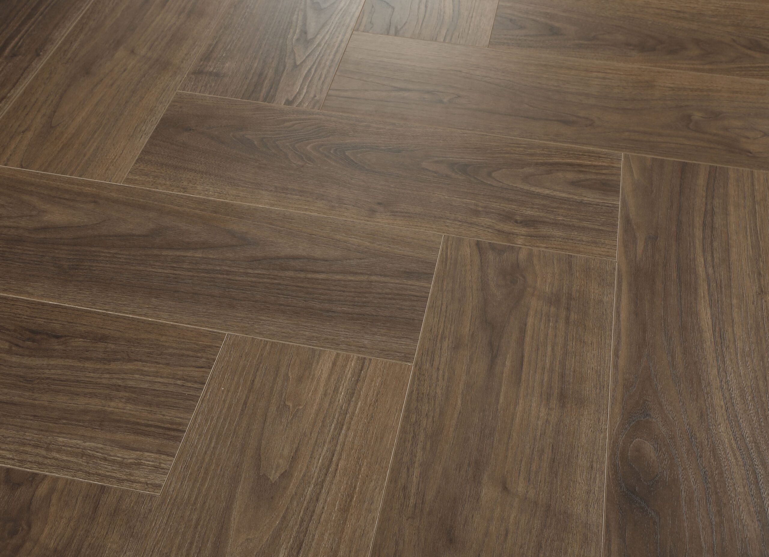 Natural English Walnut #201 | Opulent - Image 2