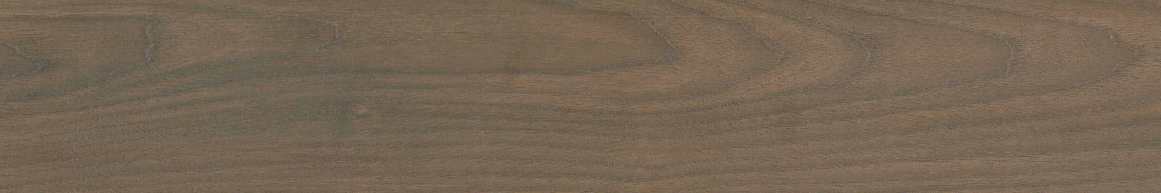 Forest Nocturne #7907 | Intrigue Walnut - Image 4