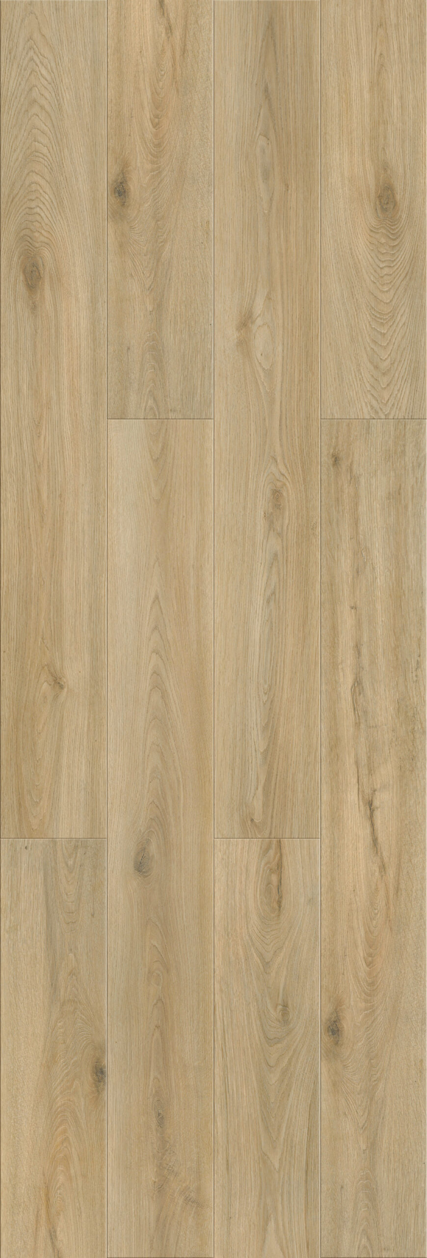 Frost Whisper #5801 | Majesty Grande - Image 4