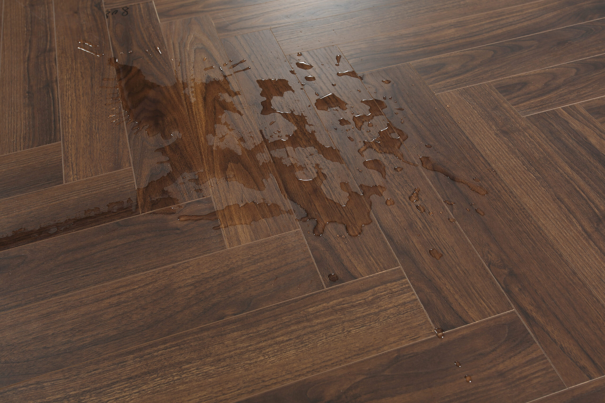 Cappuccino Walnut #202 | Opulent - Image 2