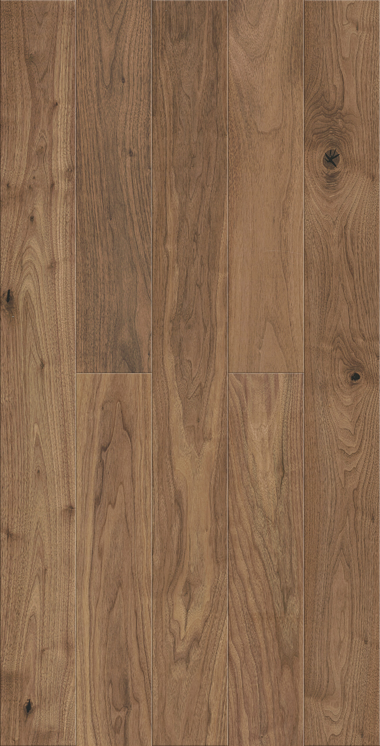 Ebony Dusk #2020 | Imperial Prestige 3 Layer - Image 4