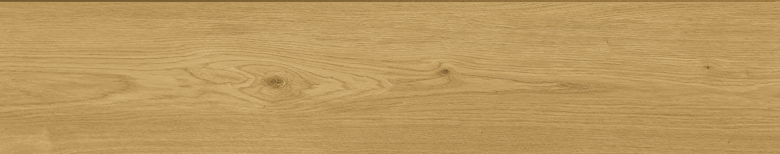 Champagne Haze #3011 | Panorama - Image 4