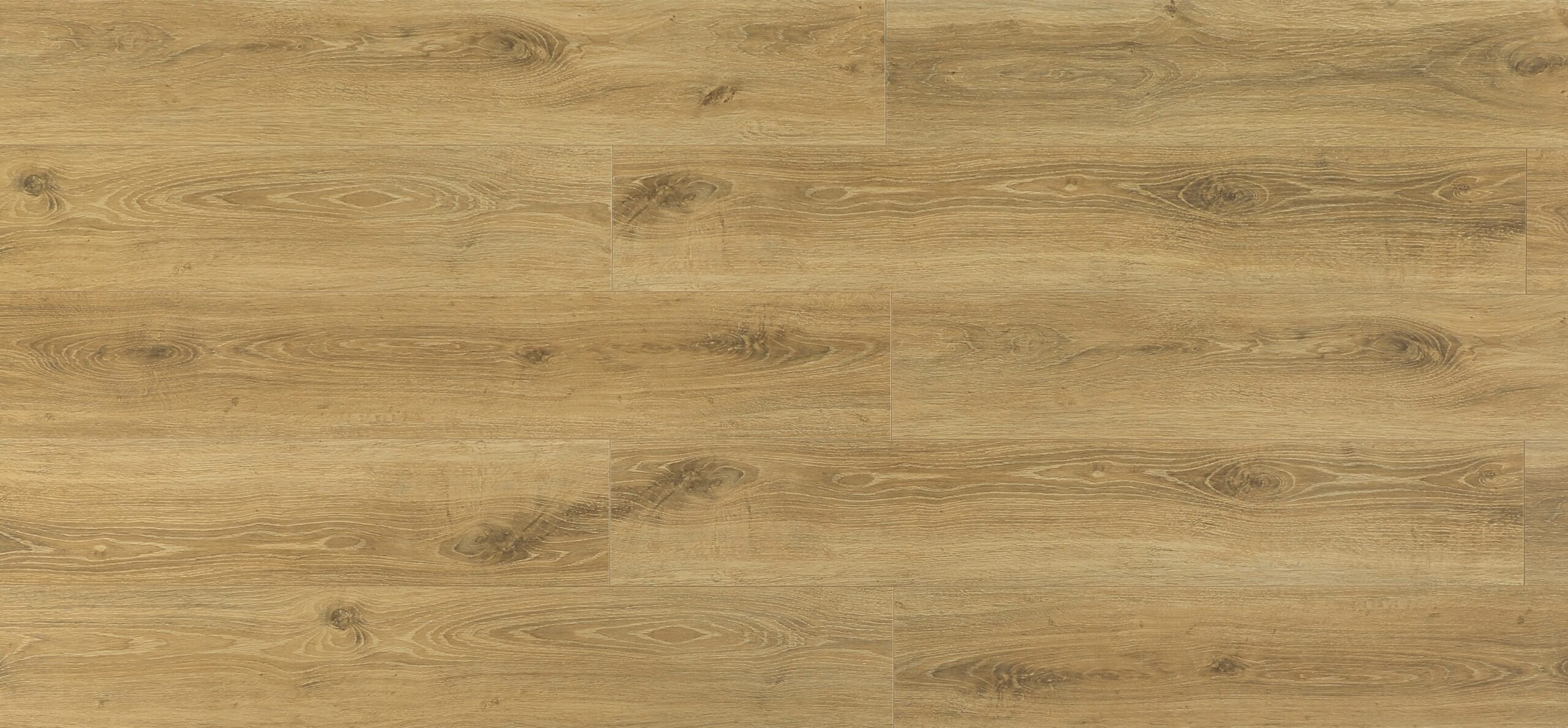 Harvest Oak #650 | Radiant - Image 2