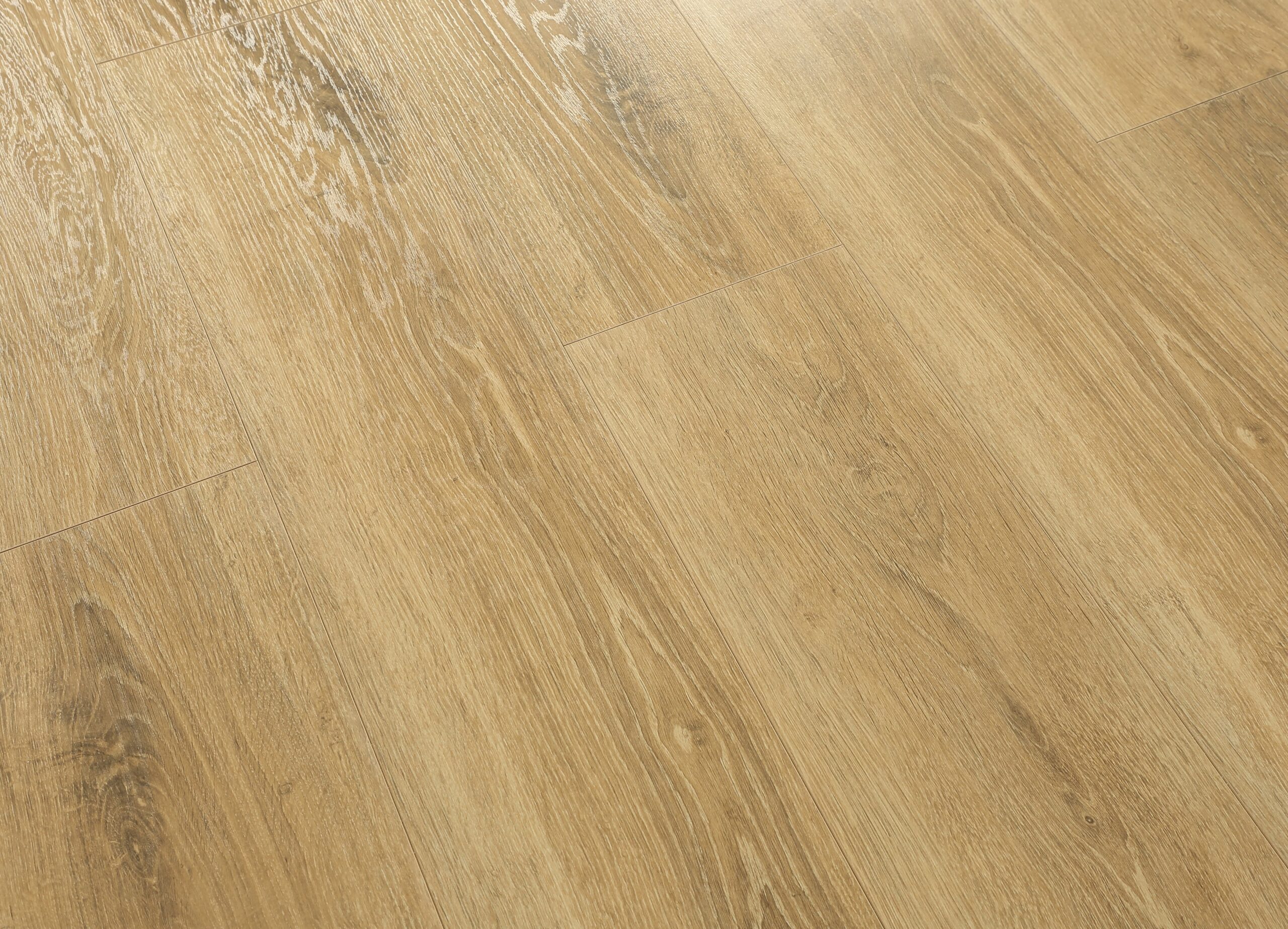 Harvest Oak #650 | Radiant
