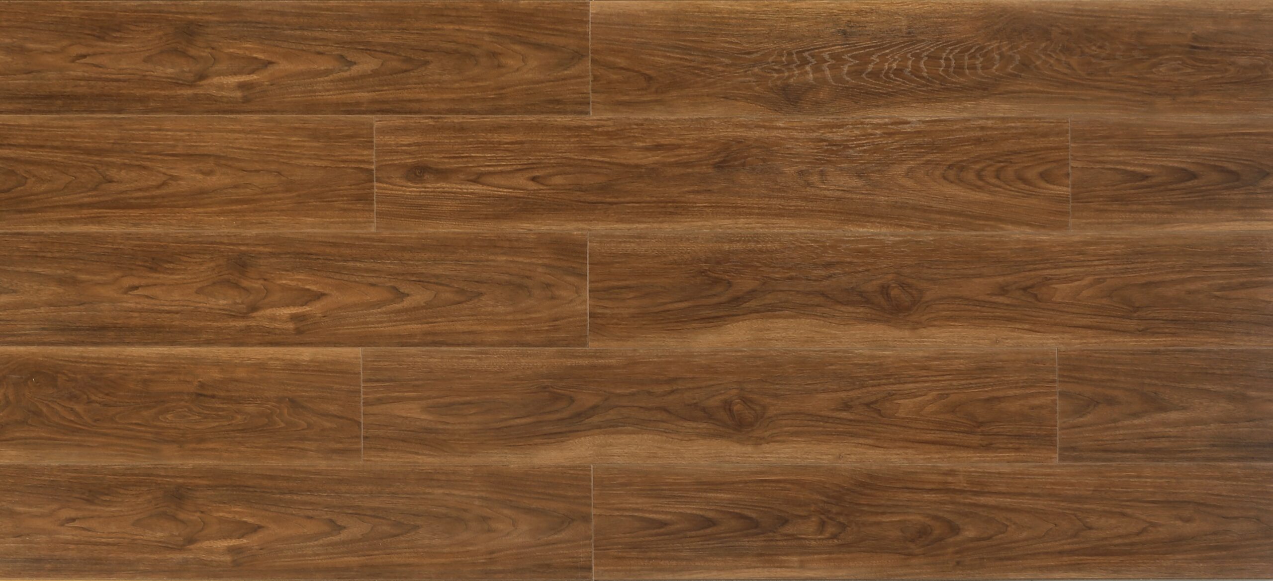 Luxe Walnut #659 | Radiant - Image 2