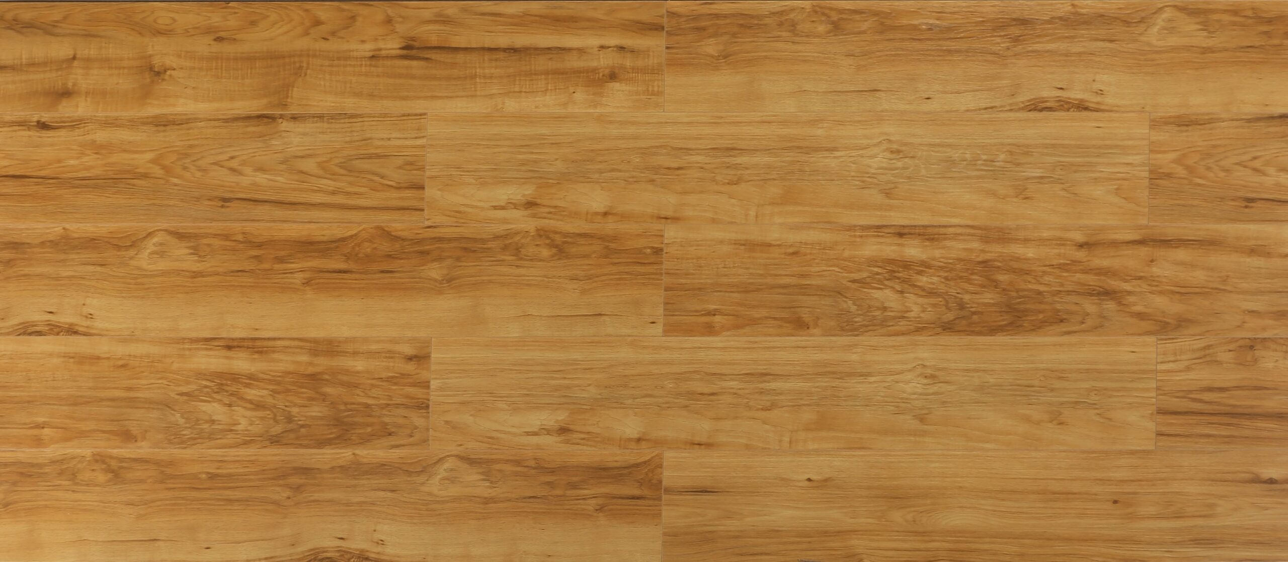 Orchard Oak #655 | Radiant - Image 2