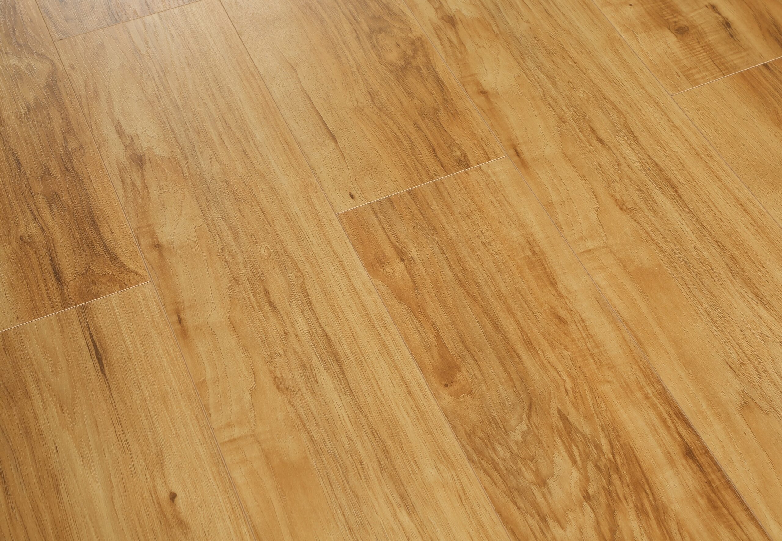 Orchard Oak #655 | Radiant