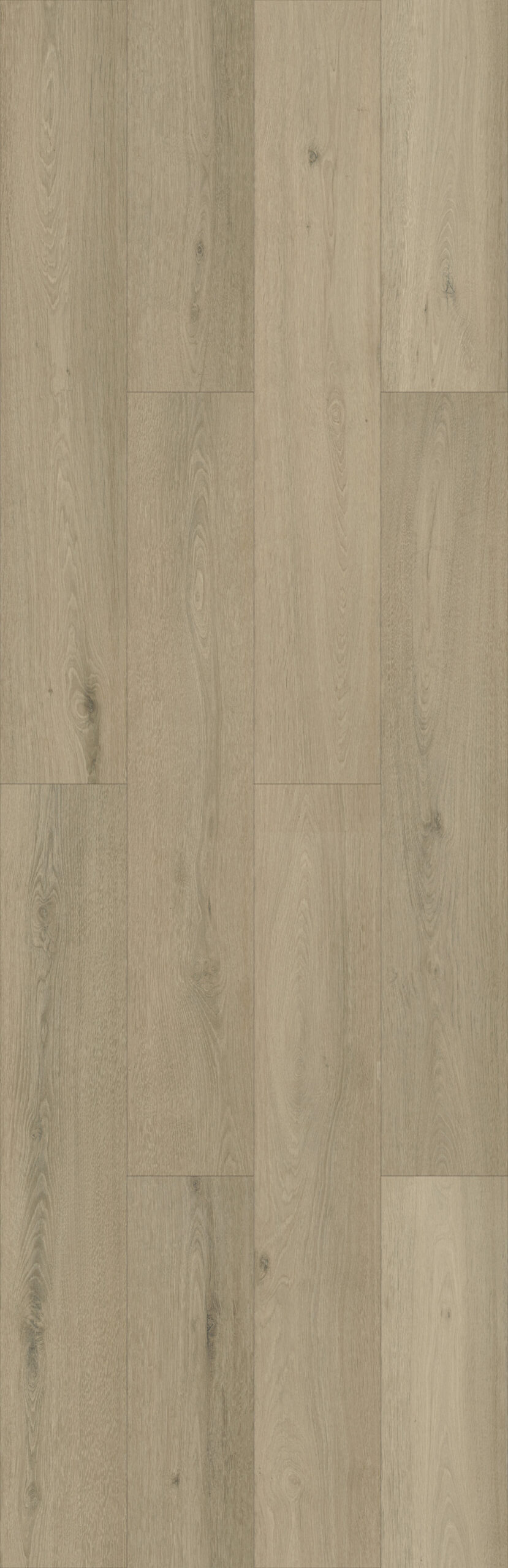 Arctic Mist Oak #V324 | Velora 8 - Image 4