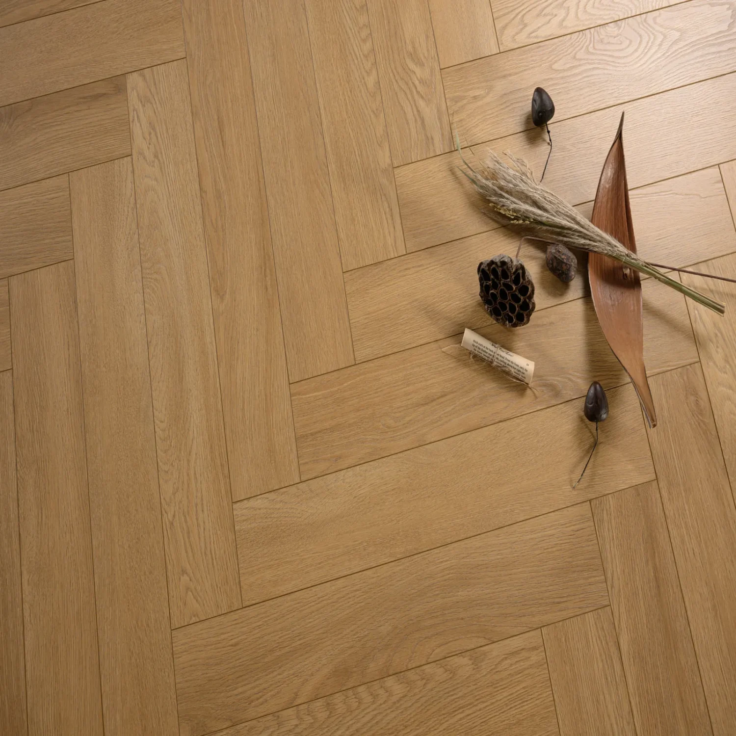 Oak Alba #2171 | Manuscript 8 Herringbone